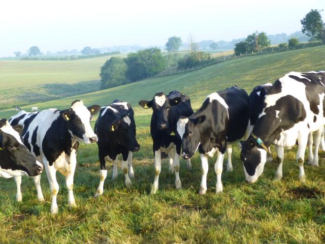 487746359_3619120941719179_3433182826245787133_n (1)